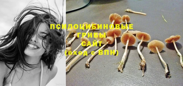 кокаин Бородино